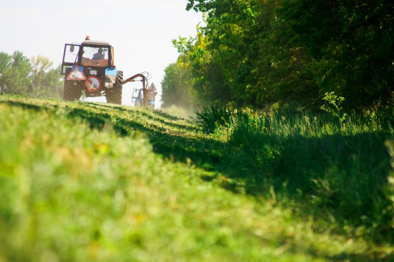Forestry Clearing