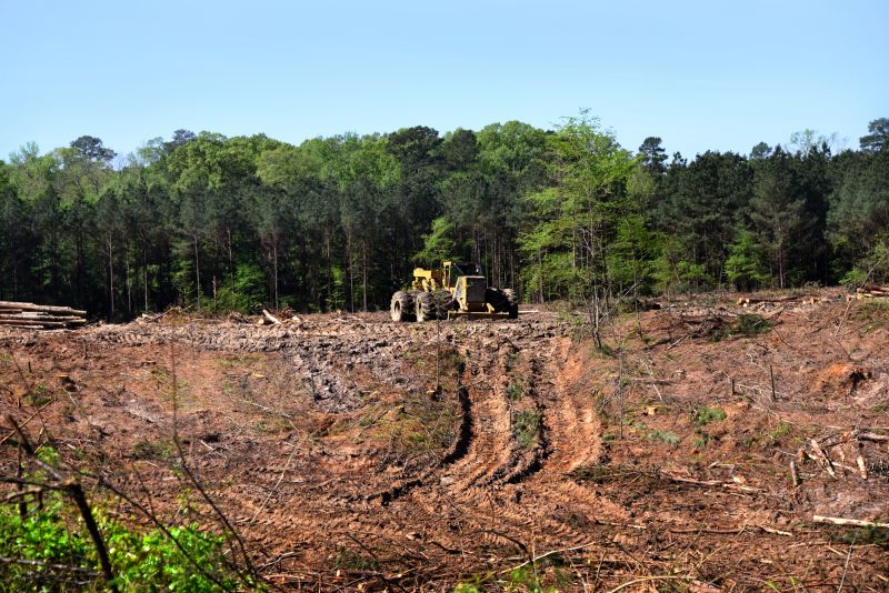 What’s Involved In Professional Land Clearing?