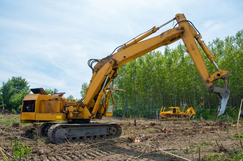 Enhance Wildlife Habitat With Professional Forestry Clearing Service!