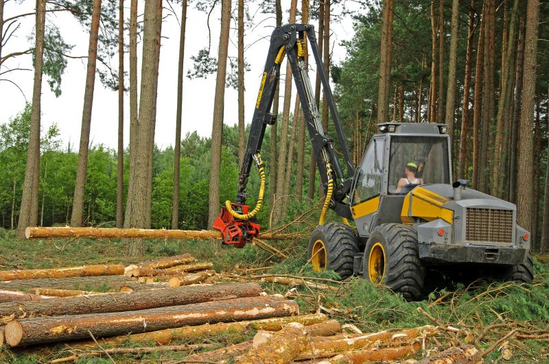 Get Professional Forestry Clearing To Create Space for Development!