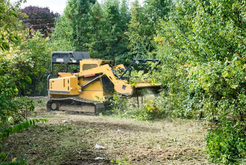 Get Professional Forestry Clearing To Support Healthy Growth!