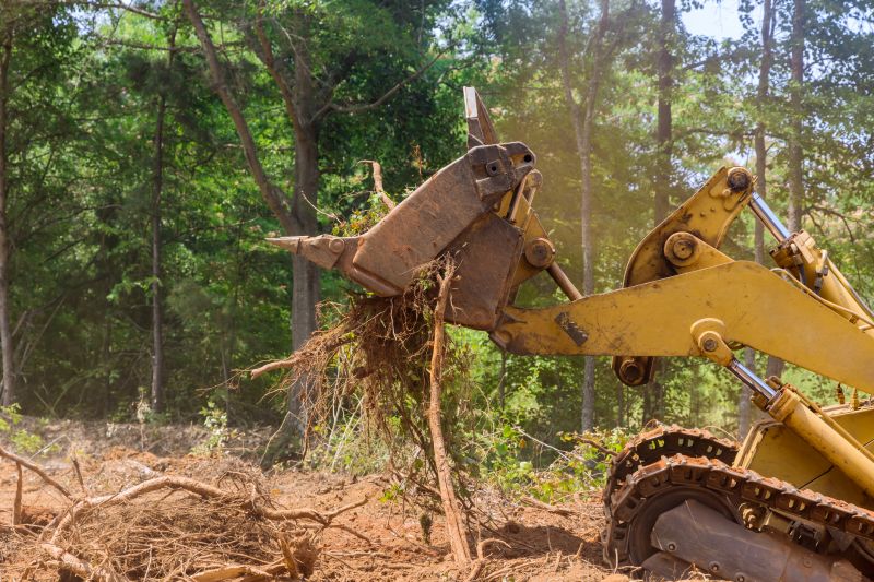 Prevent Fires With Professional Forestry Clearing Service!